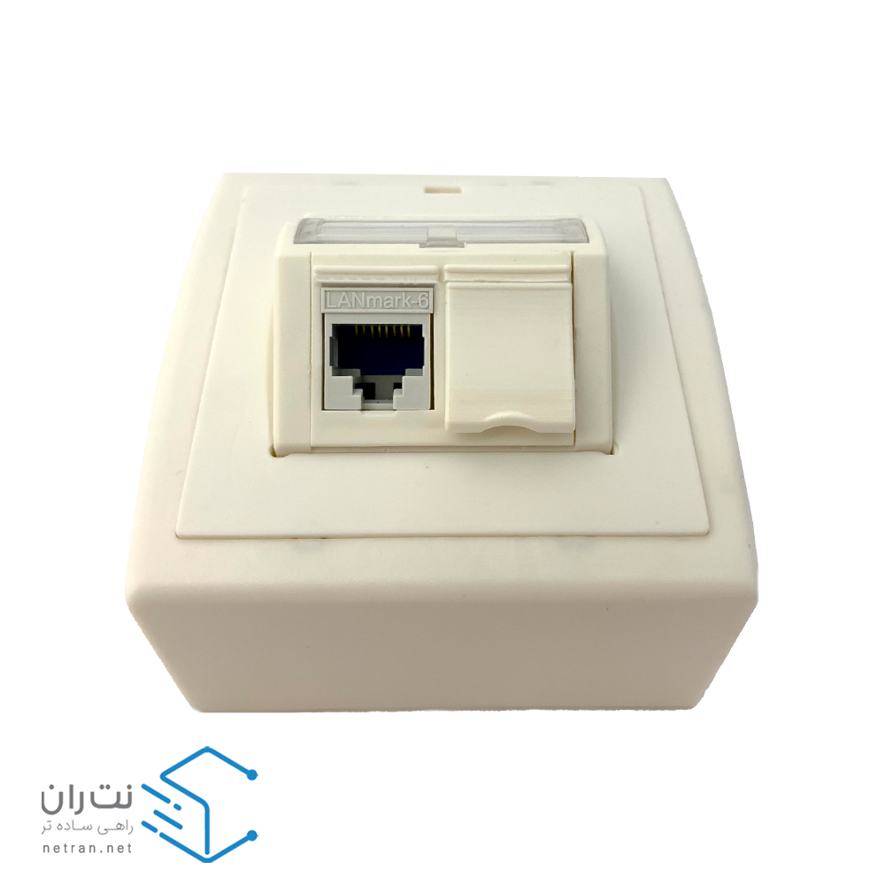 فیس پلیت (انگل) نگزنس 2 پورت زاویه دار-7